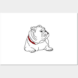 English bulldog Posters and Art